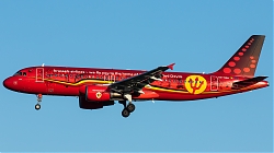 OO-SNA_BrusselsAirlines_A320_RedDevils_MG_4244.jpg